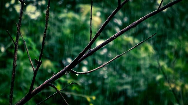 Danes in jutri bo spremenljivo do pretežno oblačno, predvsem v zahodni polovici Slovenije bodo krajevne padavine. (foto: pexels.com)