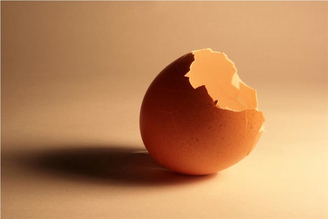 Jajčne lupine lahko koristno porabite. (foto: www.sxc.hu)