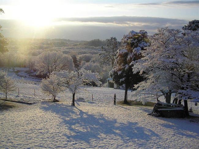 Prvi sneg je pustil nekaj navdiha ... (foto: freeimages.com)
