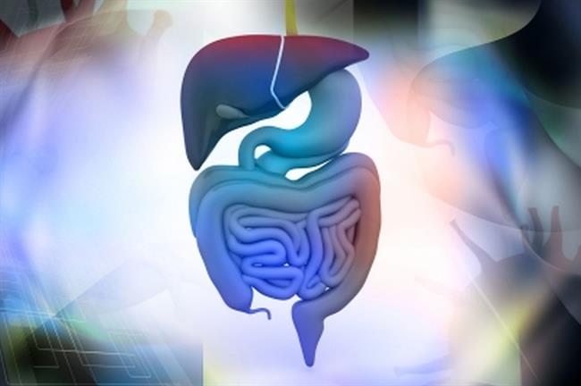 Za številne gastroenterologe je problem prekomerno prepustne črevesne sluznice siva cona v medicini. (foto: FreeDigitalPhotos.net)