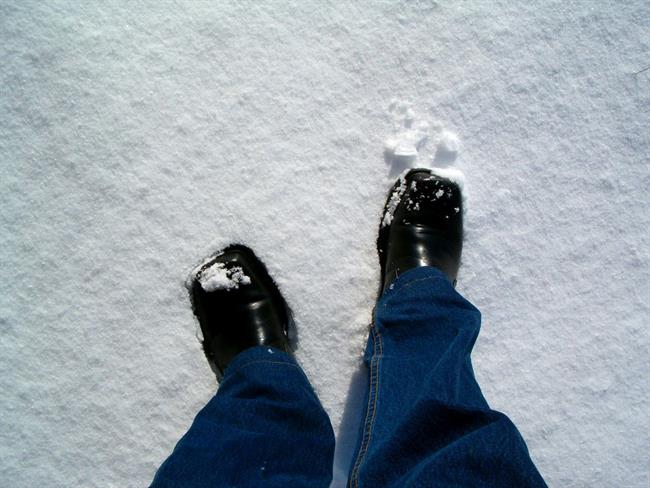 Kis očisti tudi slane madeže na zimskih čevljih. (Foto: Freeimages.com)