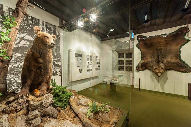 Slovenski lovski muzej (foto: Blaž Zupančič)