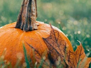 NUMEROLOGIJA: Kaj nam prinaša oktober?