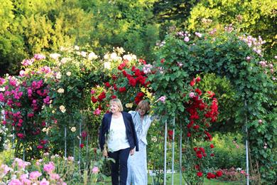 Mesec vrtnic v Arboretumu Volčji Potok