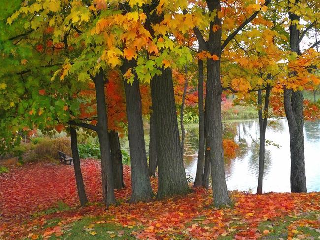 Lepa misel za lepši dan. (foto: freeimages.com)