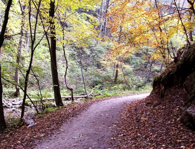 Lepa misel za lepši dan. (foto: freeimages.com)