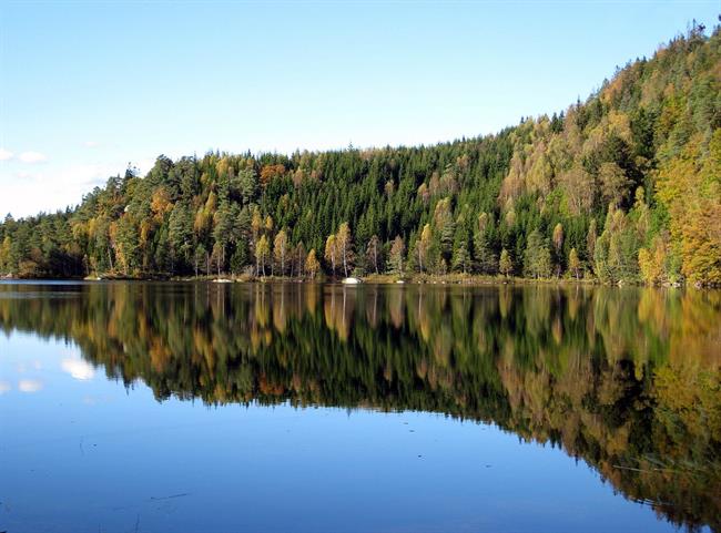 Lepa misel za lepši dan. (foto: freeimages.com)