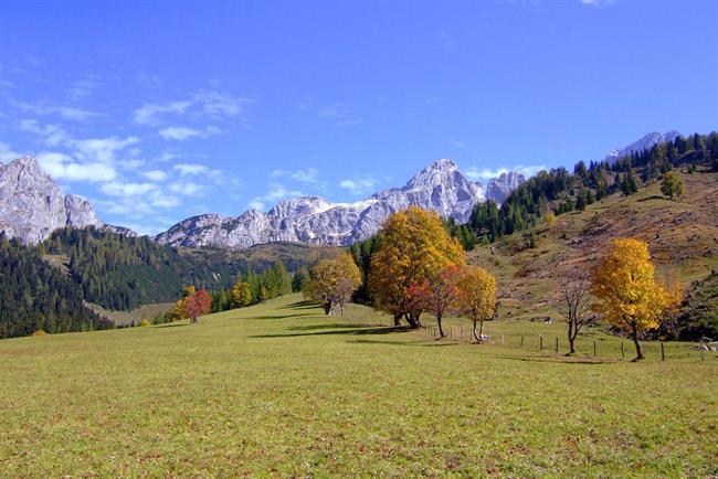 Lepa misel za lepši dan. (foto: freeimages.com)