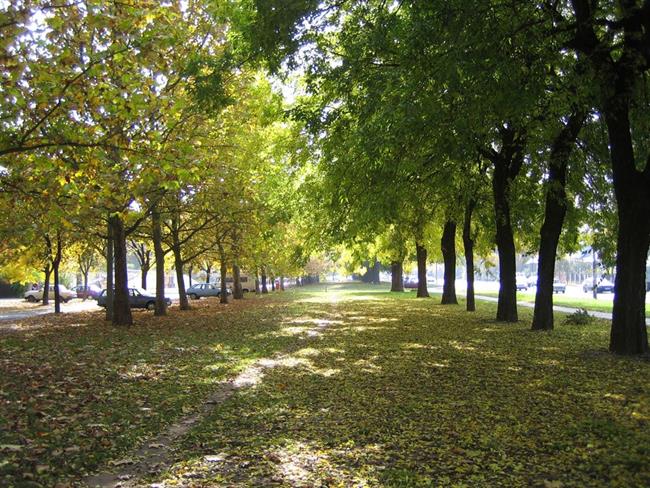 Lepa misel za lepši dan. (foto: freeimages.com)