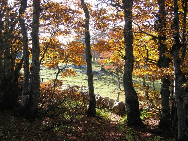 Lepa misel za lepši dan. (foto: freeimages.com)