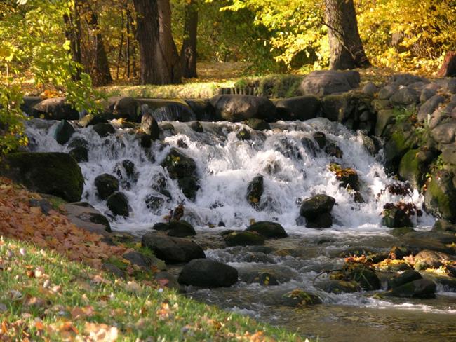 Lepa misel za lepši dan. (foto: freeimages.com)