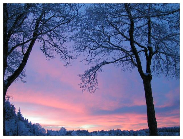 Lepa misel za lepši dan. (foto: freeimages.com)