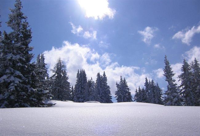 Lepa misel za lepši dan. (foto: freeimages.com)