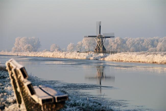 Lepa misel za lepši dan. (foto: freeimages.com)