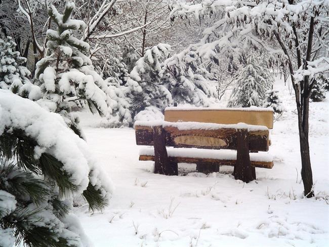 Lepa misel za lepši dan. (foto: freeimages.com)