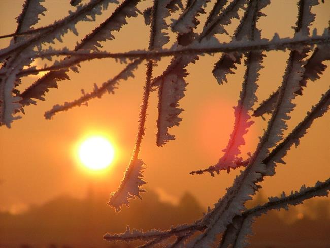 Lepa misel za lepši dan. (foto: freeimages.com)