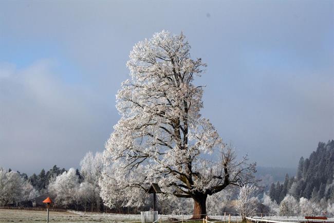 Lepa misel za lepši dan. (foto: freeimages.com)