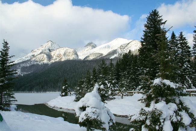 Lepa misel za lepši dan. (foto: freeimages.com)