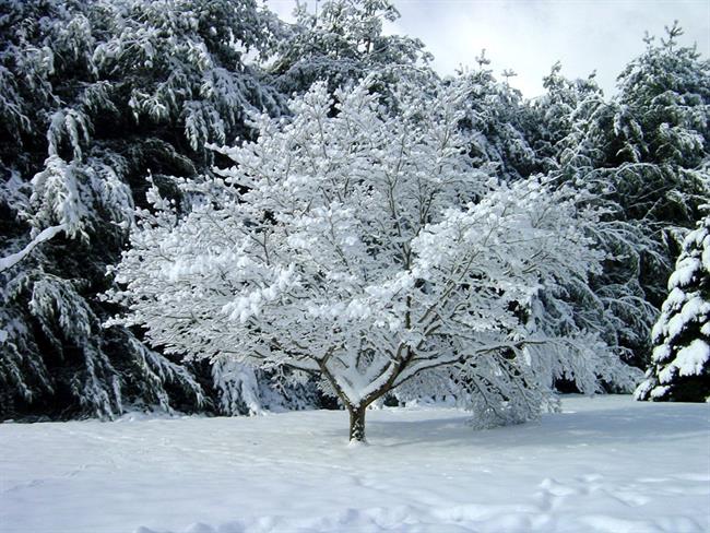 Lepa misel za lepši dan. (foto: freeimages.com)