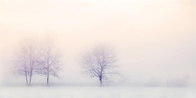 Lepa misel za lepši dan. (foto: freeimages.com)
