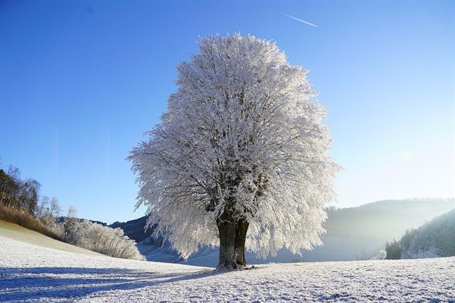 Lepa misel za lepši dan. (foto: pixabay.com)