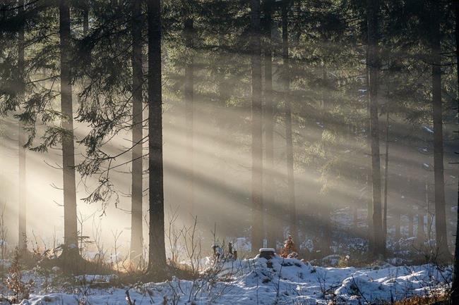 Lepa misel za lpši dan. (foto: pixabay.com)
