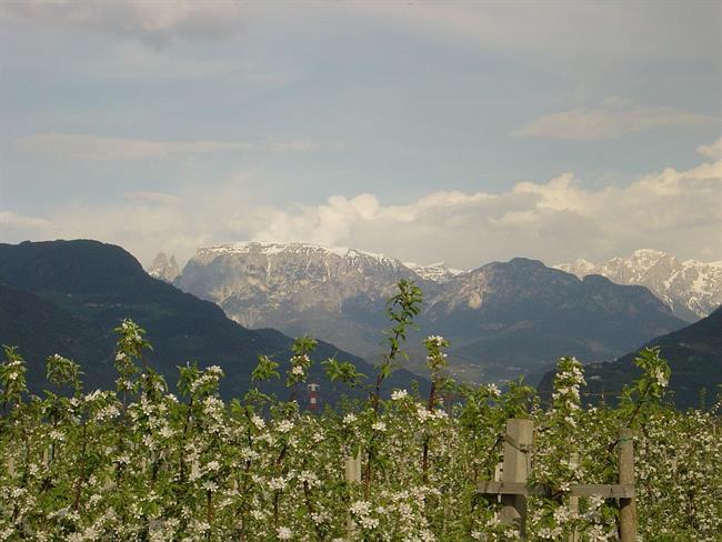 Lepa misel za lepši dan. (foto: freeimages.com)