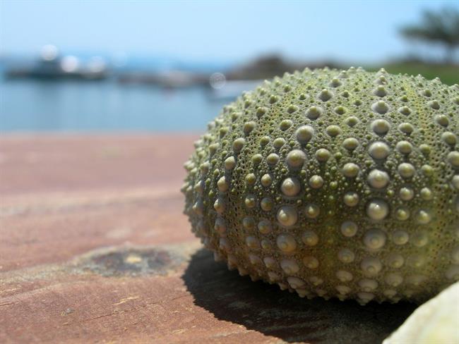 Lepa misel za lepši dan. (foto: freeimages.com)