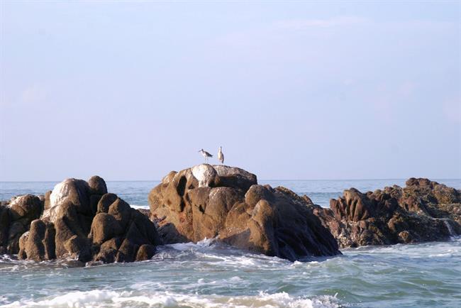 Lepa misel za lepši dan. (foto: freeimages.com)