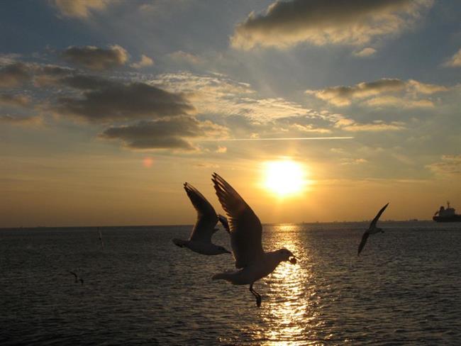 Lepa misel za lepši dan. (foto: freeimages.com)