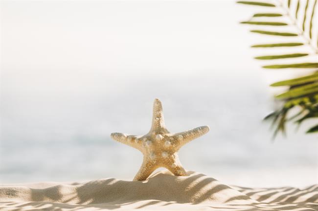 Preverite tedensko astrološko napoved za svoje znamenje! (Vir: Freepik)