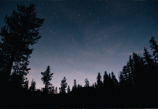 Preverite tedensko astrološko napoved za svoje znamenje! (Foto: Freepik)