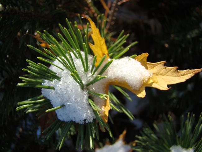 Konec tedna pričakujemo hladno in muhasto vreme. (foto: www.sxc.hu)