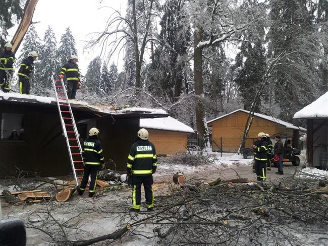 Tudi živalski vrt je utrpel veliko škodo zaradi vremenskih nevšečnosti. (foto: ZOO)