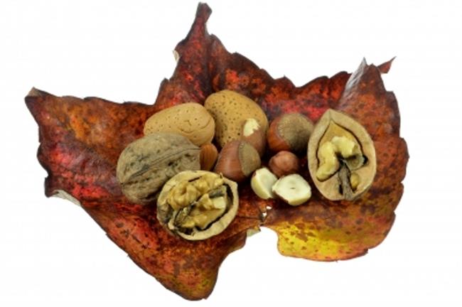 Oreščki ščitijo pred nevarnimi boleznimi. (foto: FreeDigitalPhotos.net)