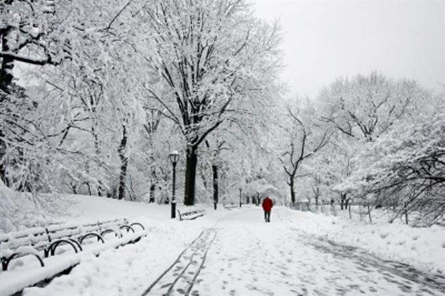 Naučite se pravilne hoje po snegu in ledu. (foto: FreeDigitalPhotos.net)