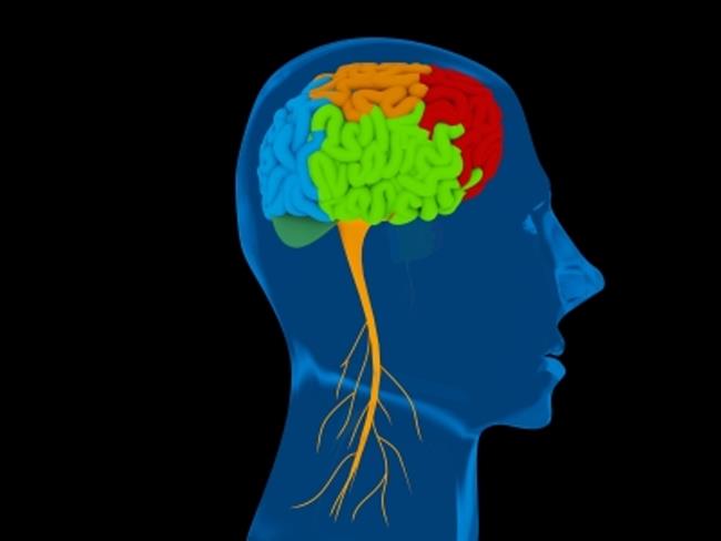 Nova raziskava je v veliko pomoč pri razumevanju Alzheimerjeve bolezni. (foto: FreeDigitalPhotos.net)