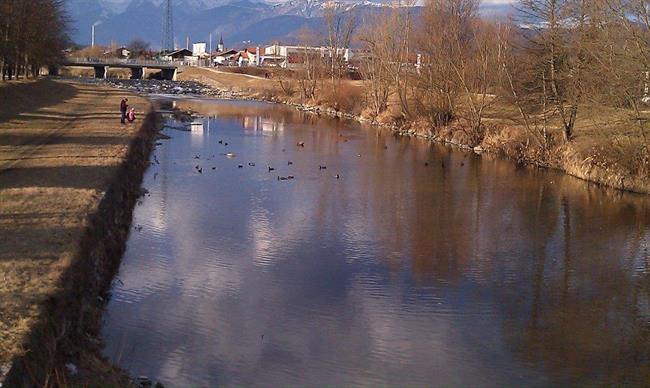 Kamniška Bistrica v decembru. (foto: Dimc Anton)