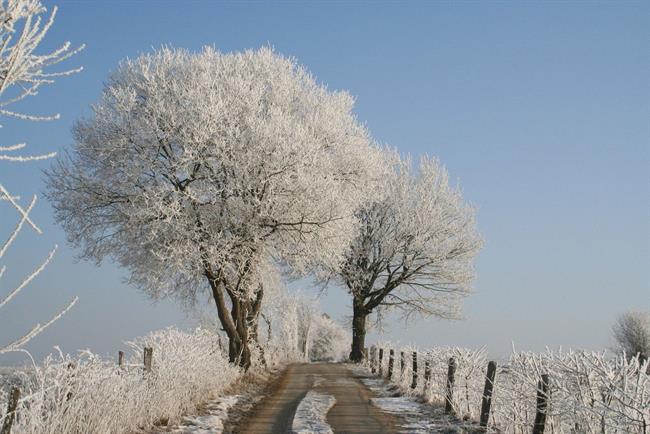 Kaj bo prinesel januar? (foto: freeimages.com)