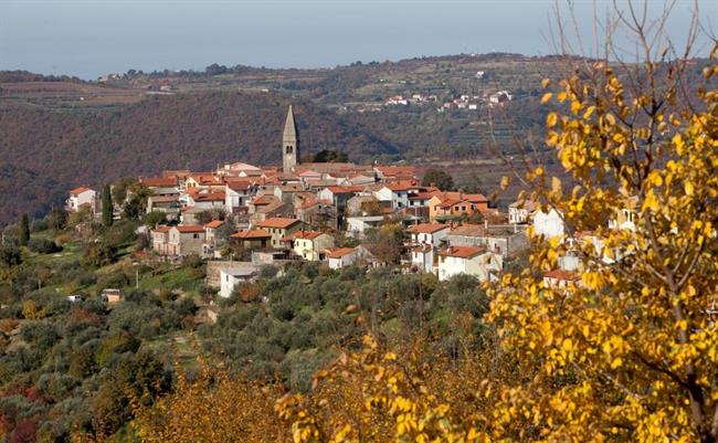 Padna (foto: občina Piran)