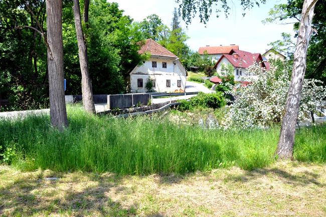 Do konca leta zapora Smrečnikove ulice