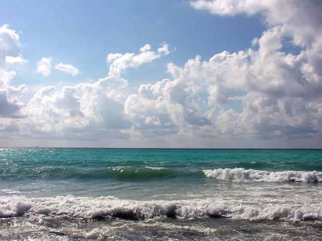 Lepa misel za lepši dan. (foto: freeimages.com)