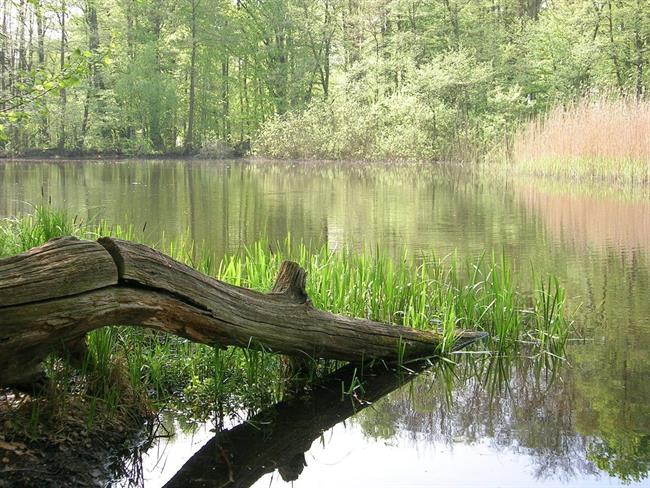 Lepa misel za lepši dan. (foto: freeimages.com)