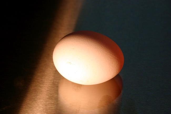 Jajca pomagajo pri hujšanju in krepijo zdravje. (foto: freeimages.com)