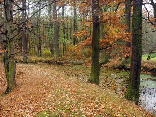 Lepa misel za lepši dan. (foto: freeimages.com)