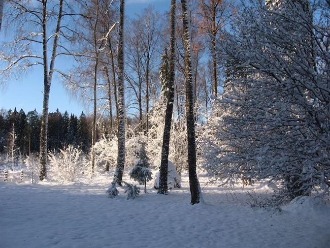 Lepa misel za lepši dan. (foto: freeimages.com)