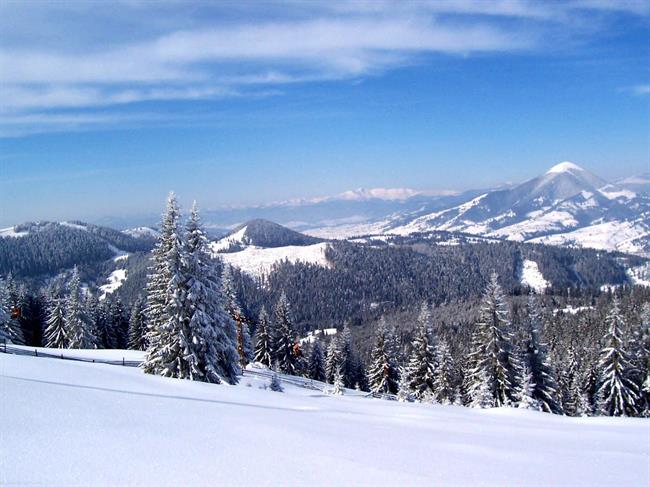 Lepa misel za lepši dan. (foto: freeimages.com)