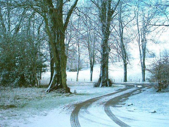 Lepa misel za lepši dan. (foto: freeimages.com)