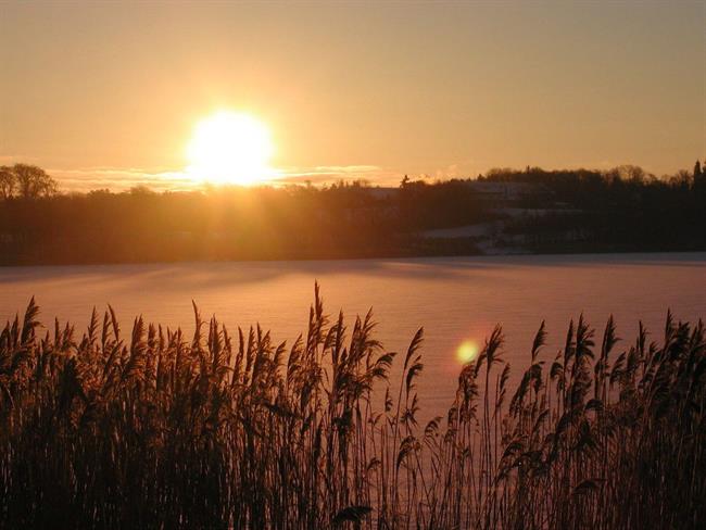 Lepa misel za lepši dan. (foto: freeimages.com)