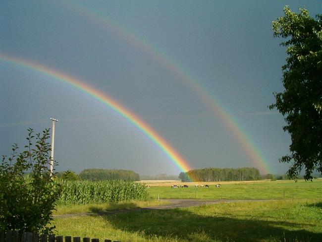 Lepa misel za lepši dan. (foto: freeimages.com)